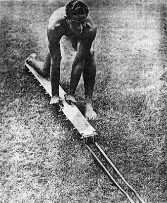 he'e holua: a traditional form of hill sledding, from Hawaii