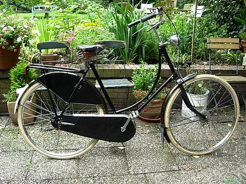 lady's bike: a bicycle with a step-through frame, to accommodate long skirts, and often also a handlebar...