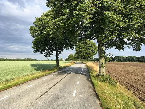 2-1 road: a type of road with extra-wide shoulders and a smaller single two-way lane in the middle for...