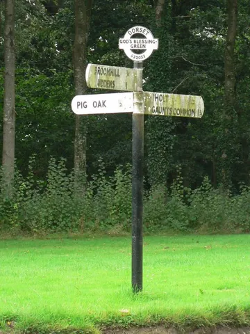 god's blessing green: a hamlet in Holt parish, Dorset, England (OS grid ref SU0303)