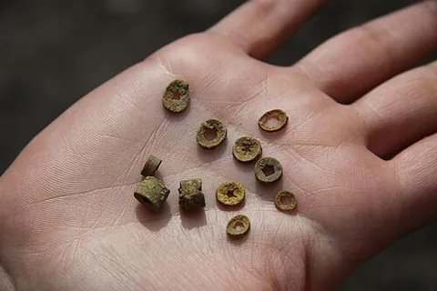 st. cuthbert's beads: the perforated joints of encrinites found on Lindisfarne