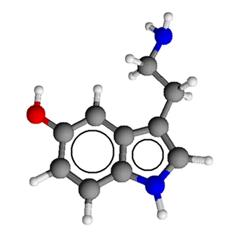 5-hydroxytryptamine: the neurotransmitter serotonin