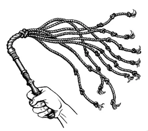 cat-o'-nine-tails: a scourge (multi-tail whip) having nine, often knotted, whipcords, formerly used for flogging as...