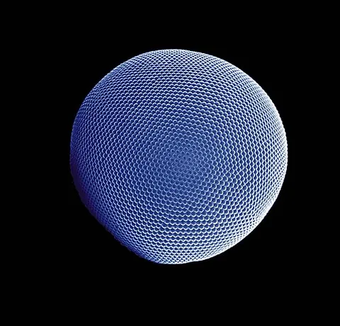abathochroal: with compound eyes, each small lens being separate with its own cornea, and the sclera separate...