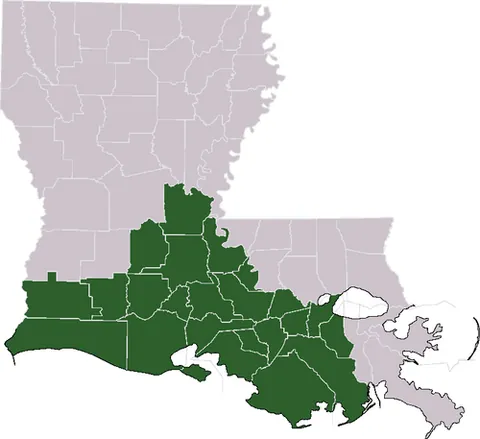 acadiana: an official region of the U.S. state of Louisiana comprised of 22 parishes (equivalent to counties...