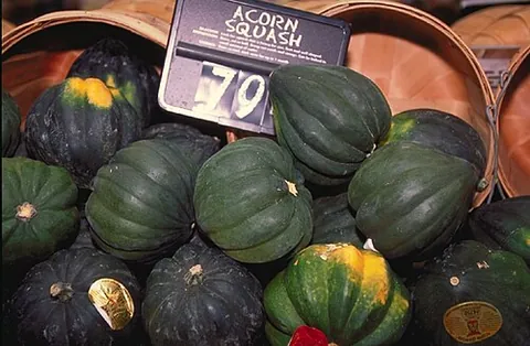 acorn squash: any of several varieties of a plant, Cucurbita pepo, being a dark green winter squash having yellow...