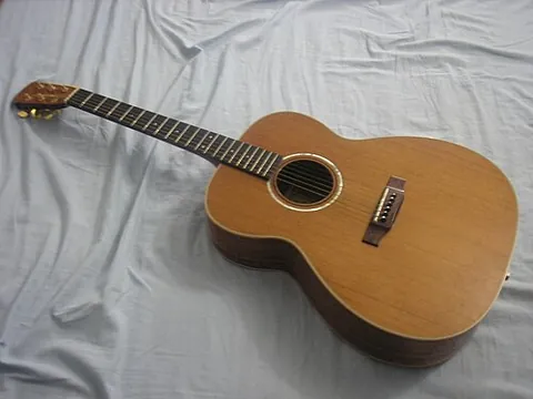acoustic guitar: a hollow-body guitar of the older variety, in contradistinction to an electric guitar