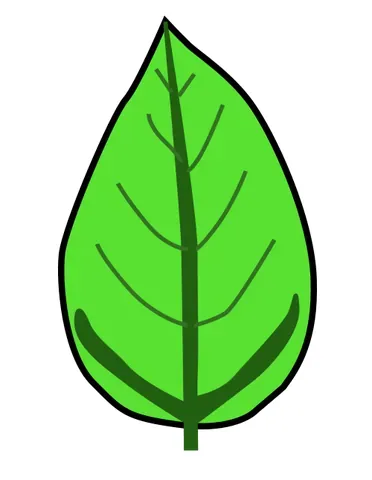 actinodromous: having palmate veins