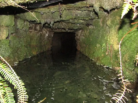 adit: a horizontal or nearly horizontal passage from the surface into a mine, as contrasted with a shaft...