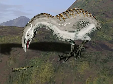 adzebill: either of two bird species of the extinct family †Aptornithidae, once endemic to New Zealand