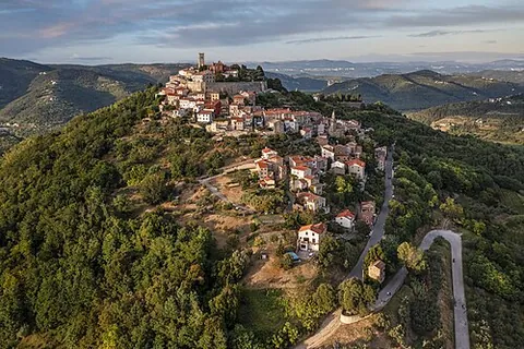 aerial: living or taking place in the air