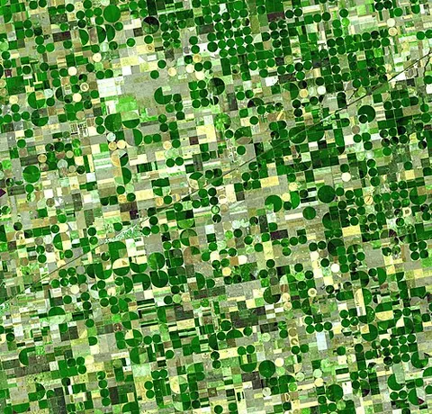 agriscience: agricultural science