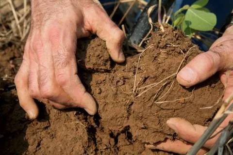 agrology: a subdiscipline of agronomy (the science of utilizing animals, plants, and soils) and of soil...