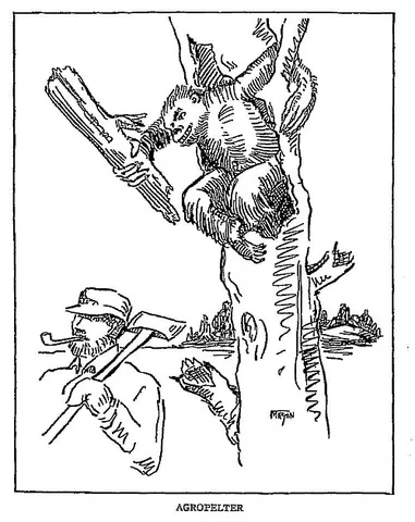 agropelter: a mythical monster of the United States, said to inhabit hollow tree trunks and hurl wooden...