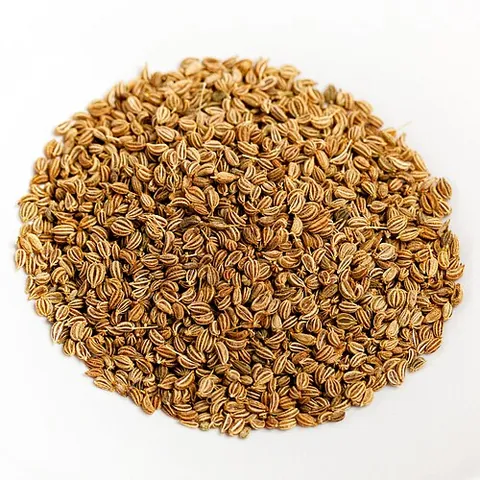 ajwain: a plant in the family Apiaceae (Trachyspermum ammi)
