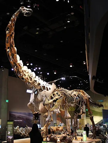 alamosaur: any dinosaur in the genus Alamosaurus
