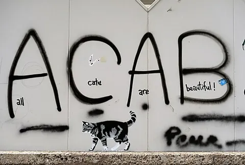 all cats are beautiful: a supposed expansion of the acronym ACAB (“all cops are bastards”)
