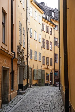 alley: a narrow street or passageway, especially one through the middle of a block giving access to the...