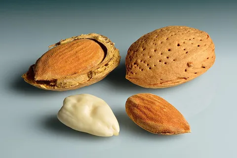 almond: the seed within the drupe of a small deciduous tree in family Rosaceae, Prunus amygdalus,...