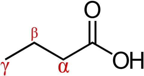 alpha carbon: the first carbon atom of an aliphatic chain that is attached to a functional group