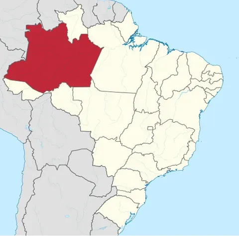 amazonas: a state of the North Region, Brazil. Capital: Manaus