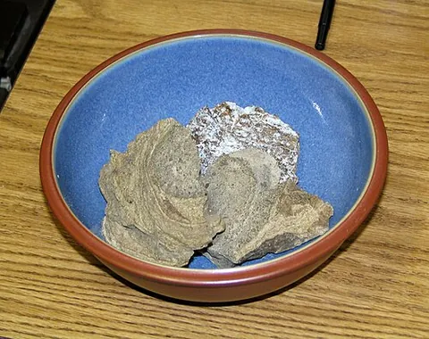 ambergris: a solid, waxy, flammable substance of a dull gray to blackish color, formed within the intestines...