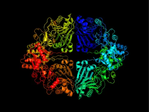 amidophosphoribosyltransferase: an enzyme that catalyzes the first committed step in purine synthesis, converting PRPP and...