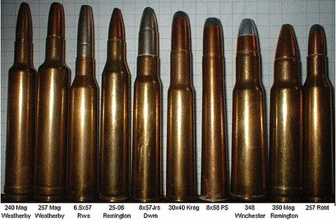 ammunition: articles used in charging firearms and ordnance of all kinds; as powder, balls, shot, shells,...