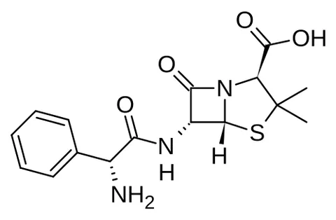 ampicillin: a semisynthetic form of penicillin C₁₆H₁₉N₃O₄S that is effective against gram-negative and...