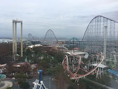 amusement park: a commercially-operated collection of rides, games and other entertainment attractions