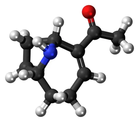 anatoxin: a bacterial toxin (usually an exotoxin) whose toxicity has been weakened or suppressed