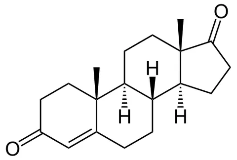 androstenedione: a steroid sex hormone C₁₉H₂₆O₂ that is secreted by the testes, ovaries, and adrenal cortex and is...