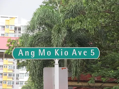ang mo kio: a planning area and town in the North-East Region of Singapore
