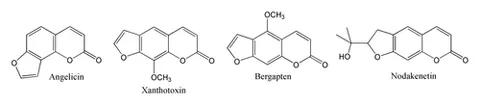 angelicin: a tricyclic heterocycle that is an isomer of psoralen