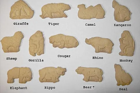 animal cracker: a small, crispy, sweet, baked cake (biscuit or cookie) in the shape of an animal