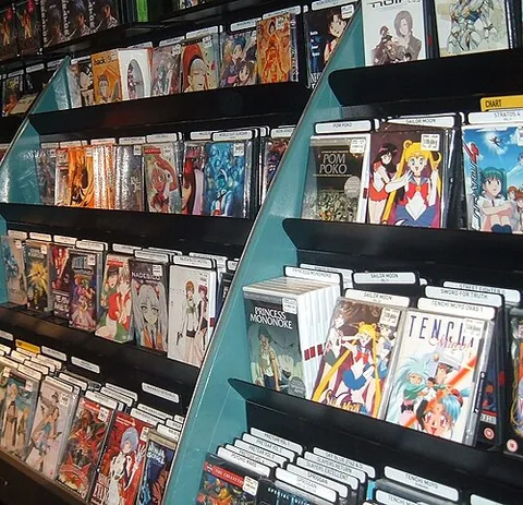 anime: an animated work that originated in Japan, regardless of the artistic style