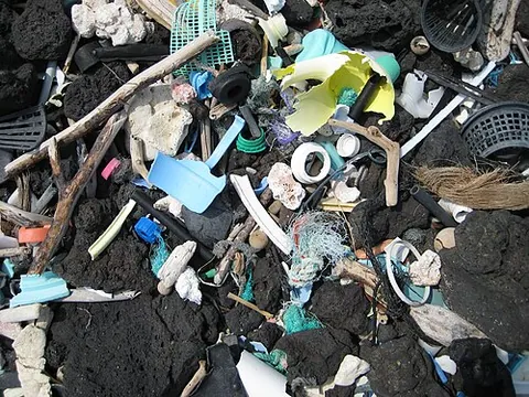 anthropocene: a proposed but rejected geological epoch, in which the effect of human activities on the global...