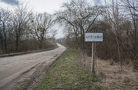 antonina: a female given name from Latin of mainly historical use English