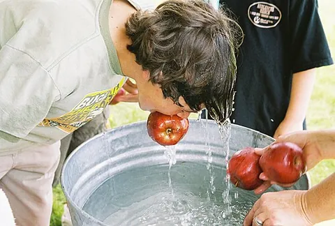 apple bobbing: a game, popular at Halloween, in which players try to pick up apples out of a large basin of water,...