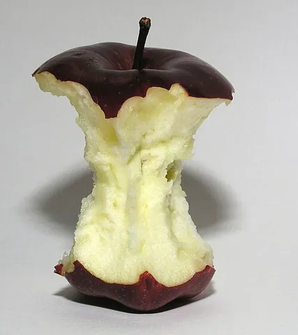 apple core: the central portion of an apple containing the seeds and where the stem attaches (and the opposed...