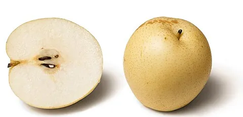 apple pear: a fruit of a northeast-Asian species of pear with a crisp, juicy texture and an apple-like shape