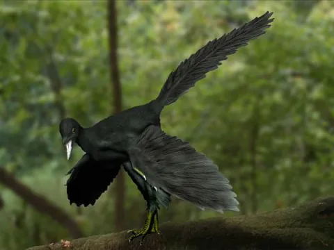 archeopteryx: a specimen of the species Archaeopteryx lithographica, being the earliest and most primitive known...
