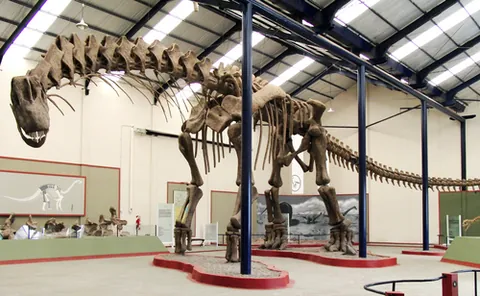 argentinosaur: any sauropod of the genus Argentinosaurus