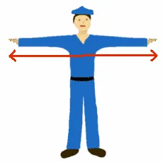 arm span: the length of a person's outstretched arms, measured from the fingertips of the two middle fingers....