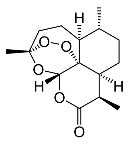 artemisinin: an antimalarial drug derived from the sweet wormwood shrub, Artemisia annua, found as the active...