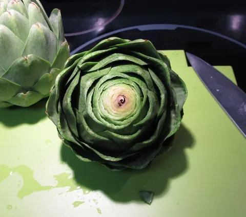 artichoke: a plant related to the thistle with enlarged flower heads eaten as a vegetable while immature,...
