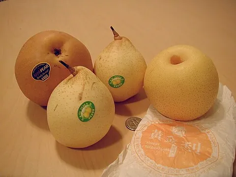 asian pear: an apple pear or Chinese pear (Pyrus pyrifolia)