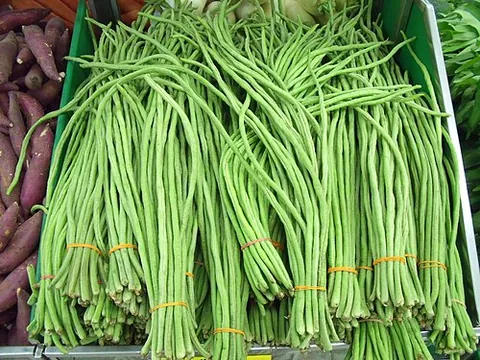 asparagus bean: a bean of east Asia with long, edible pods, a yardlong bean (Vigna unguiculata subsp. sesquipedalis)