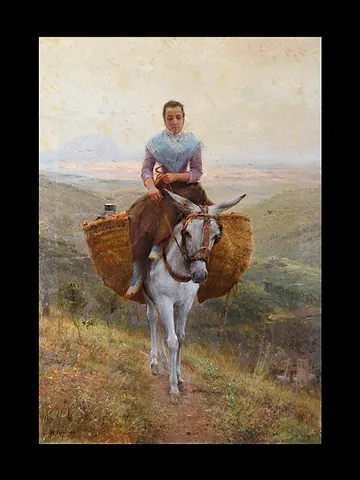 assback: the back of a donkey