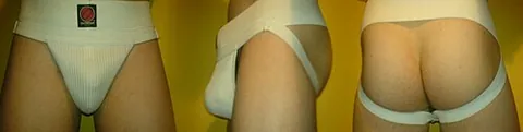 athletic supporter: an elastic garment supporting and defending male genitalia from modest injury. A jock strap